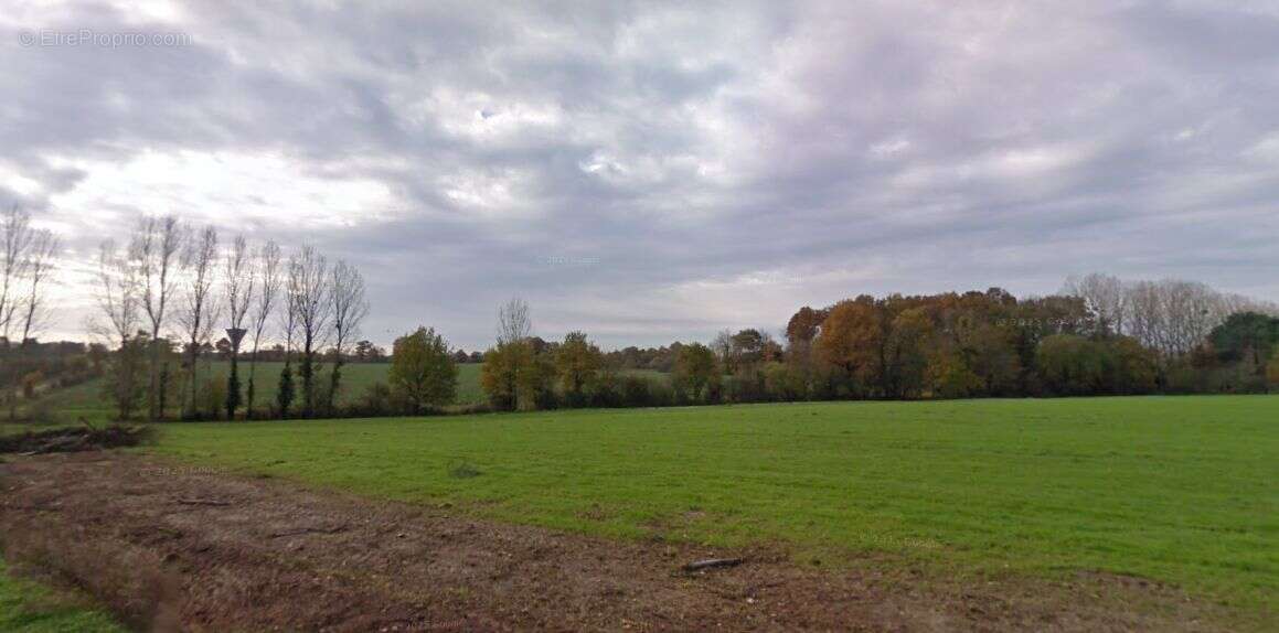 Terrain à SAINT-MARS-DU-DESERT