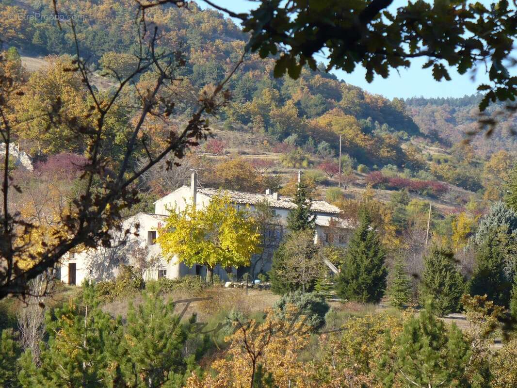 FERME - 10822 - photo 21