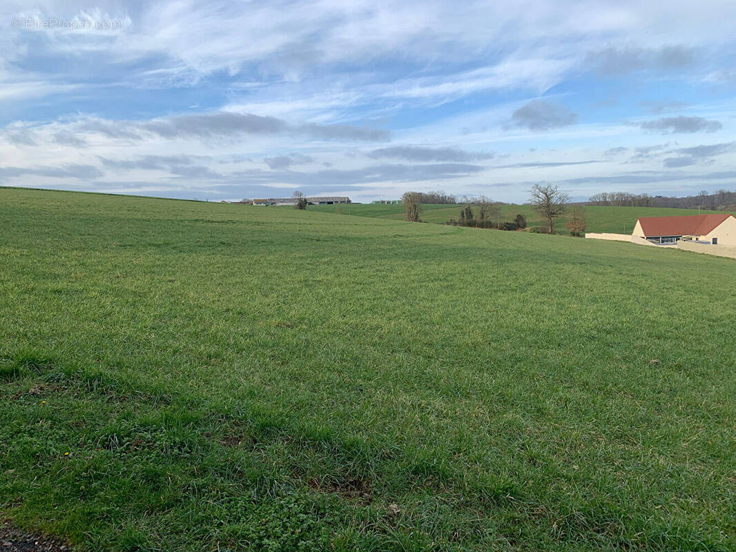 Terrain à BUSLOUP
