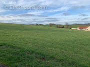 Terrain à BUSLOUP