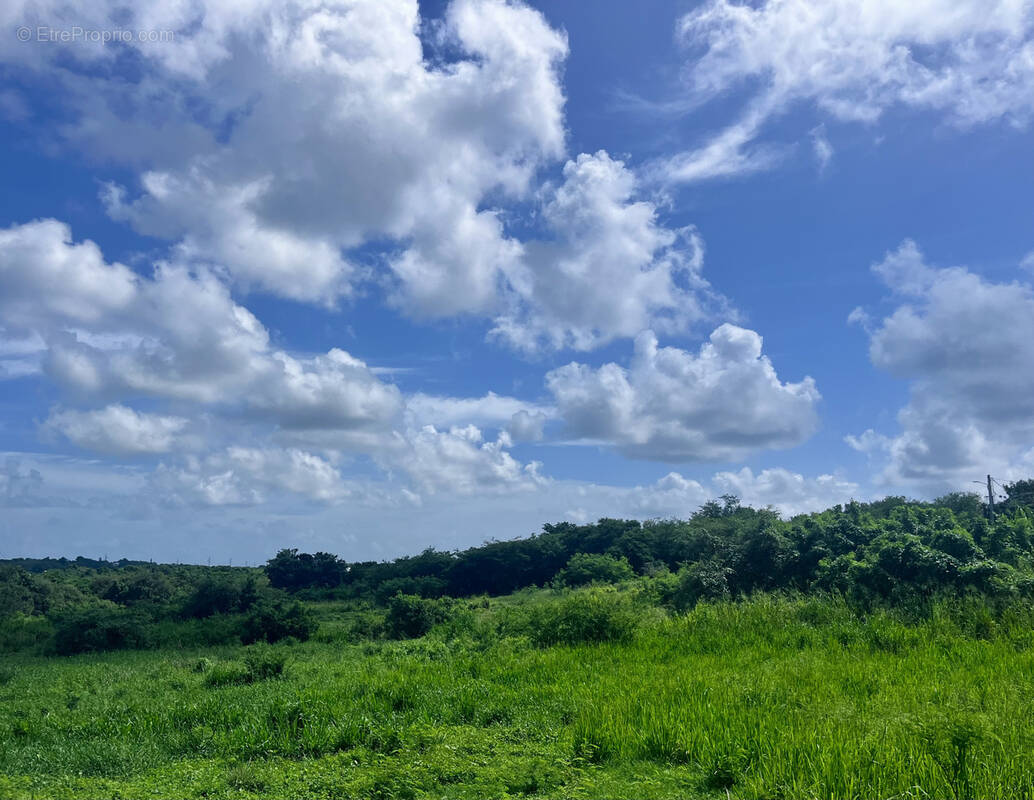 Terrain à SAINTE-ANNE