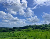 Terrain à SAINTE-ANNE