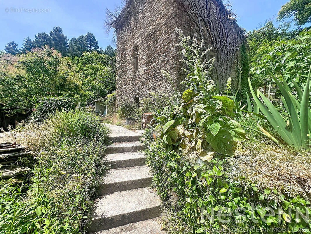 Maison de caractère à Saint-Martin-de-Boubaux ? 150 m², 1,8 ha, dépendance et vue sur les Cévennes - photo 14