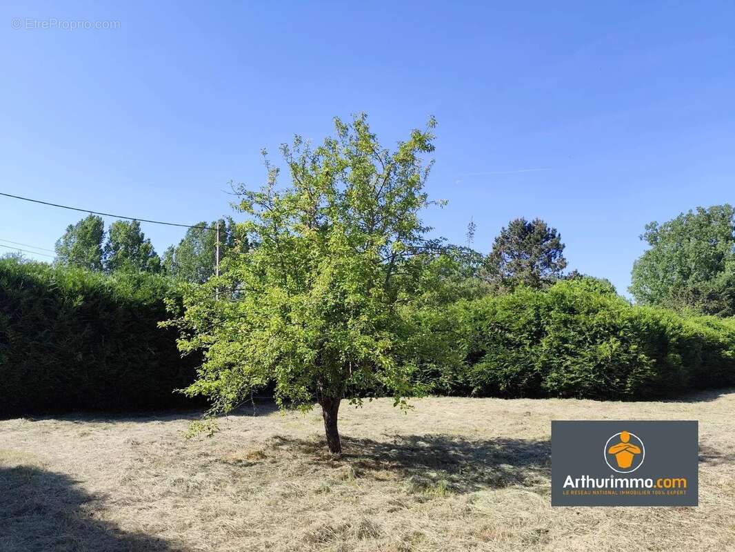 Terrain à NEUFCHATEL-SUR-AISNE