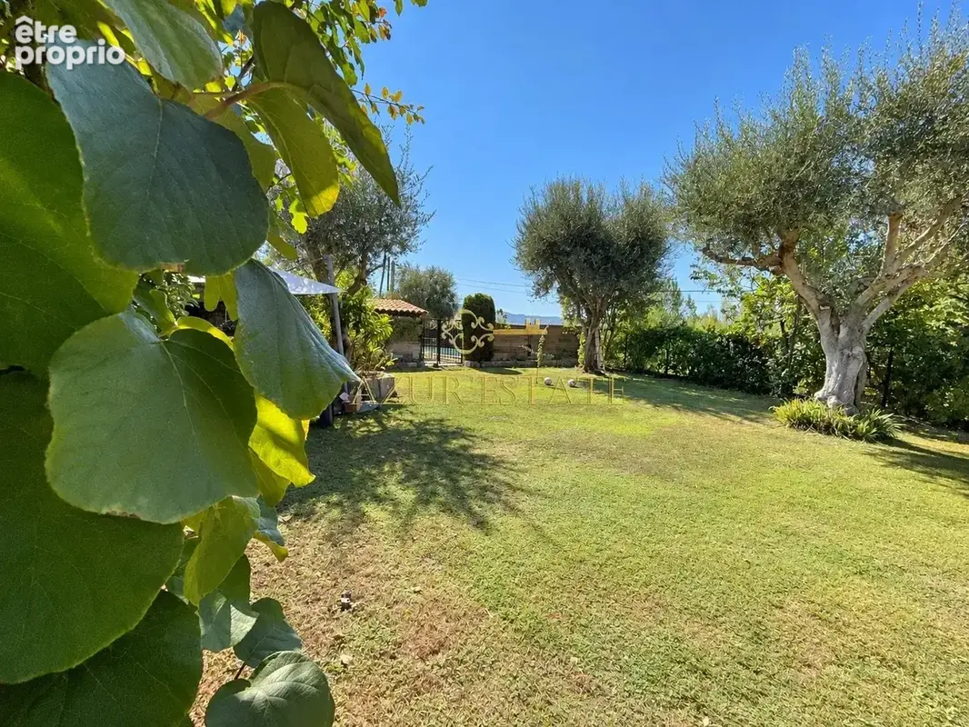 Blausasc village  : maison avec piscine - photo 2
