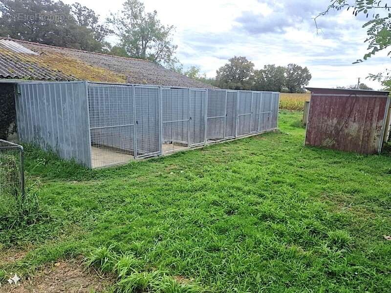 Maison 137m2 + dépendances + élevage canin sur 5,7 ha de terrain proche de aire sur l'adour (40) - photo 22
