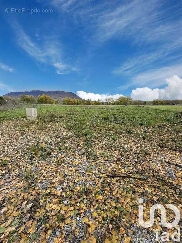 Terrain 760 m² à Eloise  - photo 2