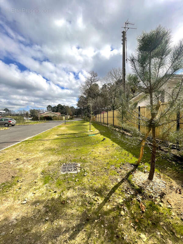 Terrain à SEIGNOSSE