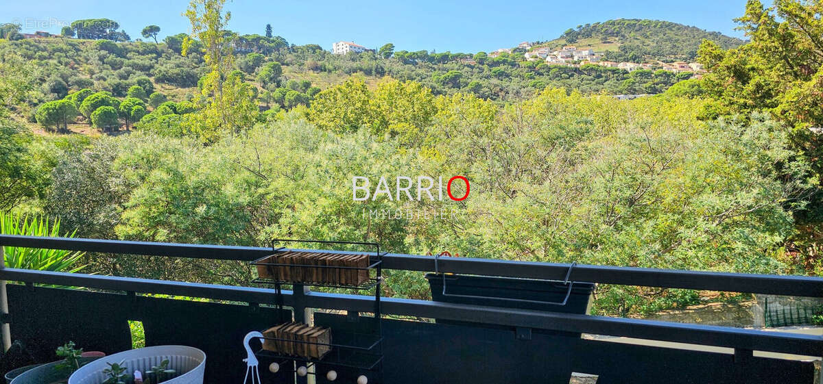 Appartement à BANYULS-SUR-MER