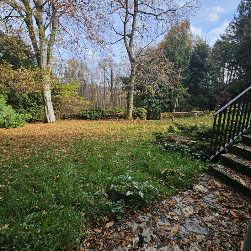 Maison à SAINT-SYLVESTRE