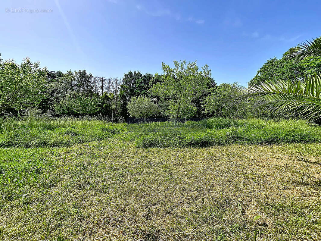 Terrain à LE PONTET