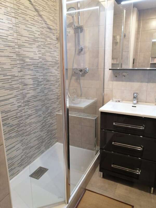 salle d&#039;eau  - Appartement à MONTCLAR