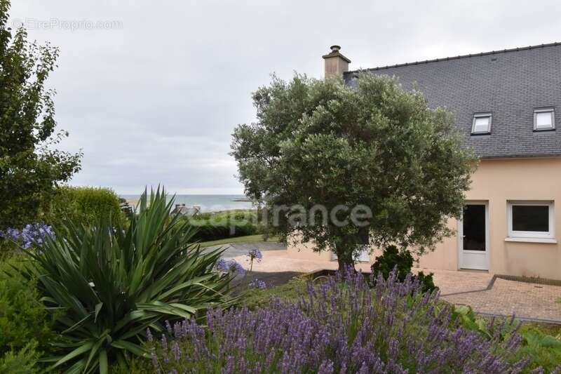 Maison 5 chambres, vue mer - photo 10