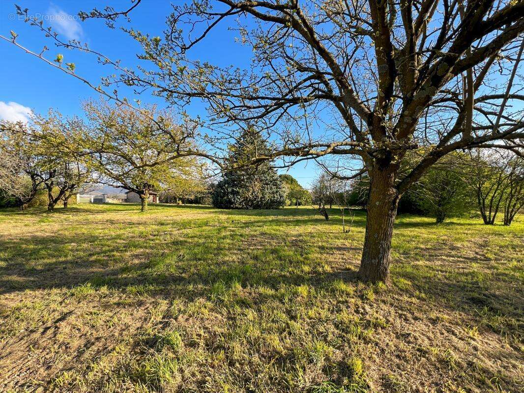 Maison à LIVRON-SUR-DROME