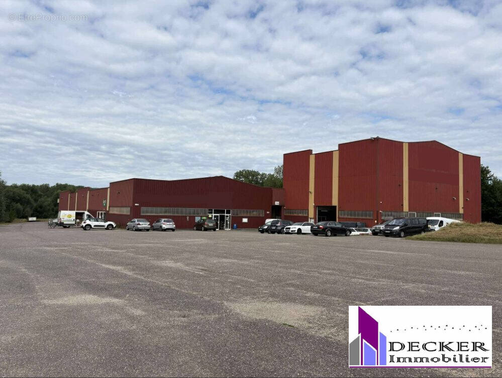 Commerce à STEINBOURG