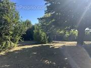 Terrain à MAS-SAINTES-PUELLES