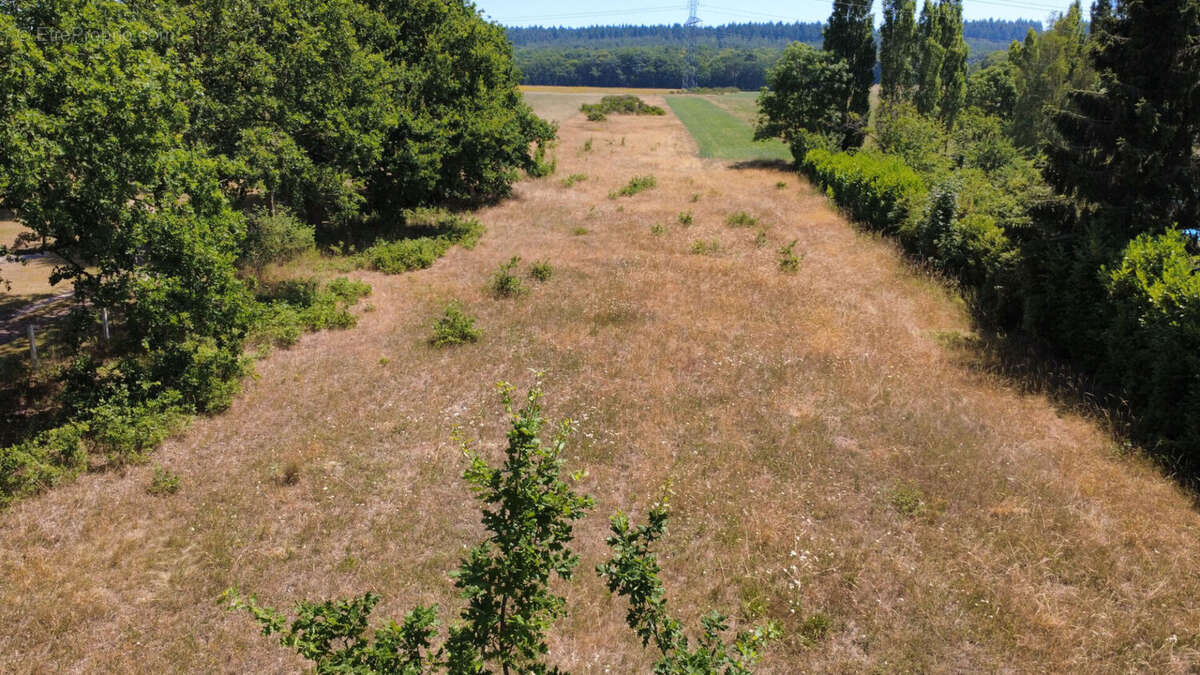 Terrain Yville Sur Seine 7514 m2 - photo 2