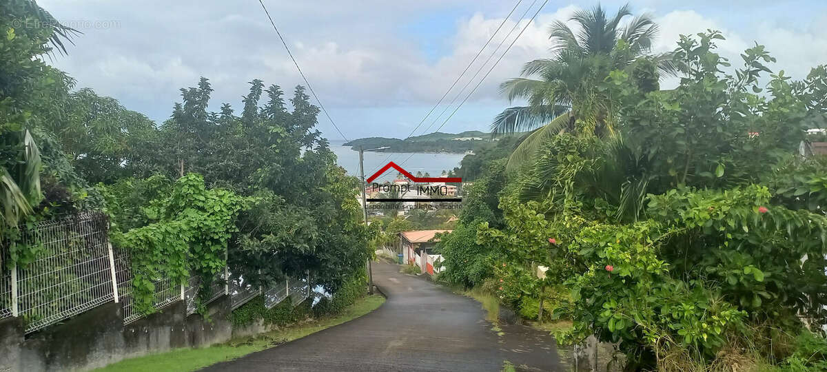 coté gauche, petit muret grillagé - Terrain à LA TRINITE