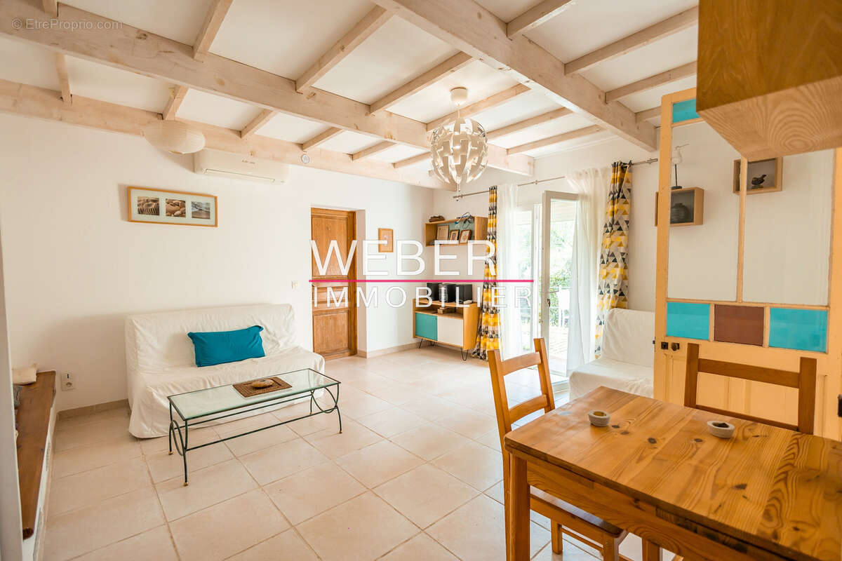 - ollioules - gros cerveau - maison 140 m2 + 2 appartements independants + 2800 m2 terrain - photo 10