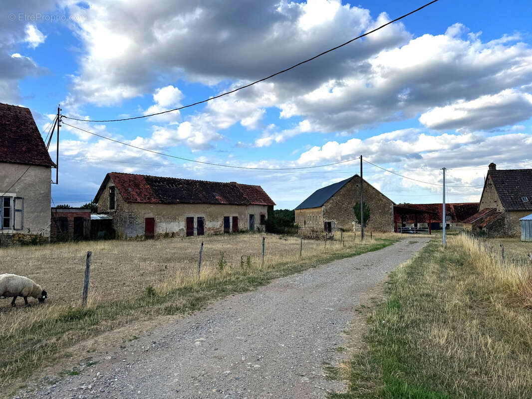 Exploitation agricole d’élevage   108 hectares dans le Boischaut Sud (Indre) - photo 7