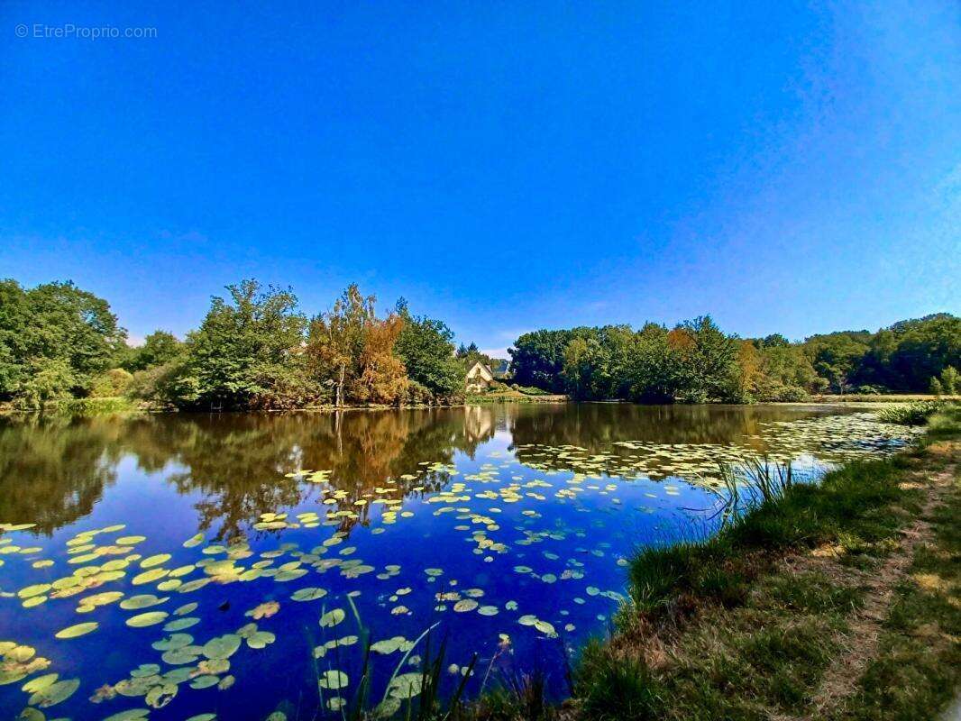Sally HICKEY vous propose cette maison néo-bretonne T5 adaptée aux PMR & studio & étang de plus d'un hectare. Un cadre magnifiqu - photo 6