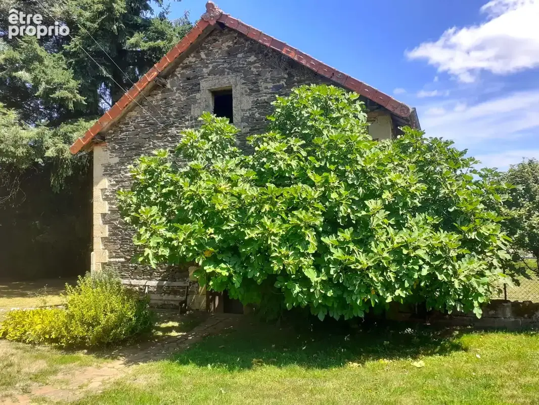 Maison de bourg rénovée avec grand jardin arboré - photo 14