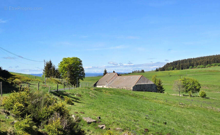 Belle ferme en pierre indépendante proche du Béage - photo 12