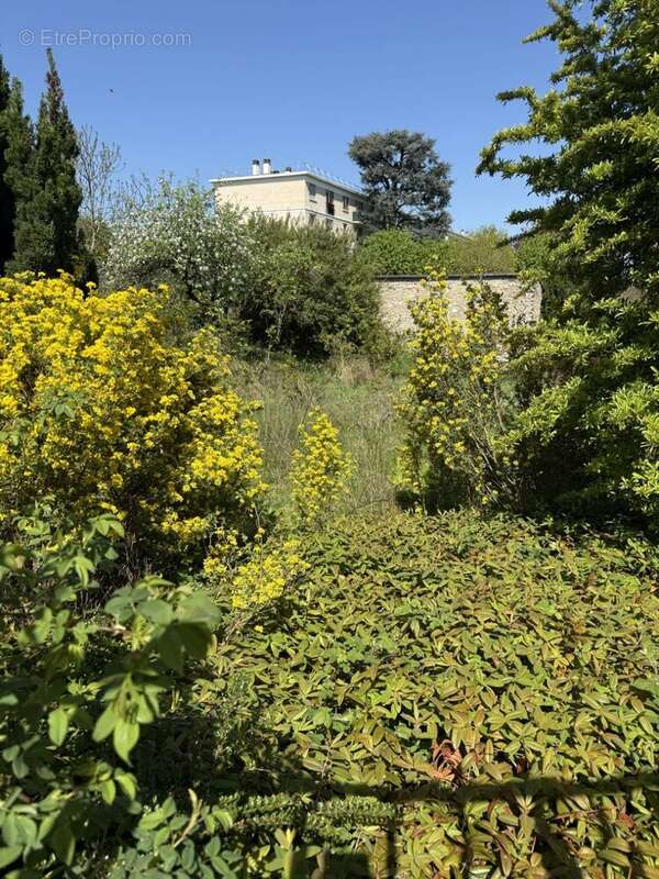 Terrain à bâtir de 597 m² à CHATENAY-MALABRY (92) - photo 2