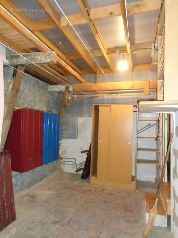 Maison à vendre 4 pièces BLENEAU (89) Maison au cœur du village de Bléneau, jardin et garage - photo 18