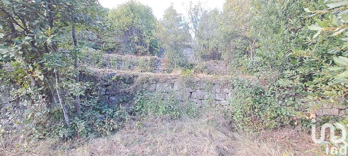 Photo 3 - Terrain à LODEVE