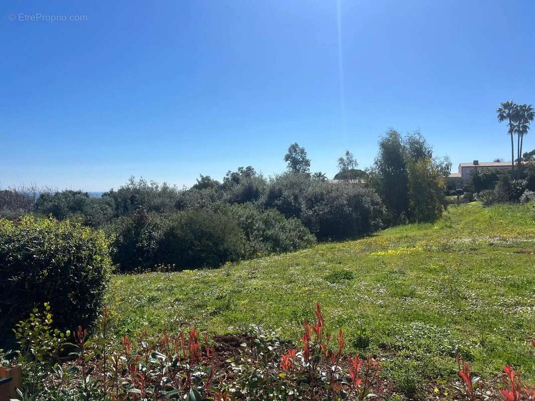 Appartement à VILLENEUVE-LOUBET