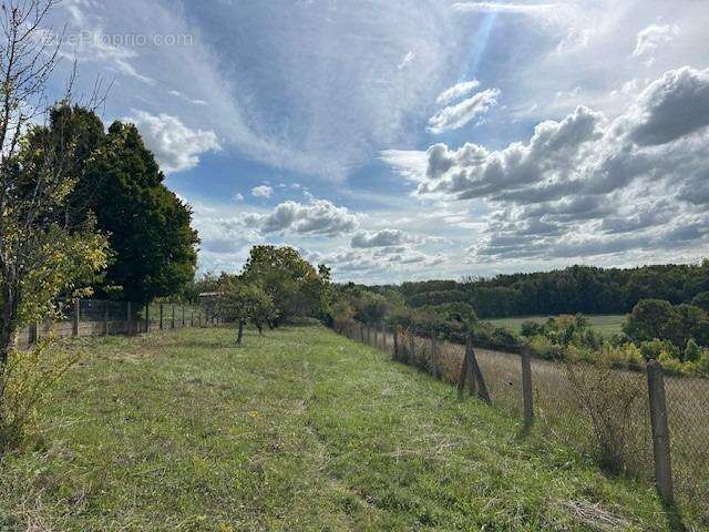 Autre à SAINT-GEORGES-LES-BAILLARGEAUX