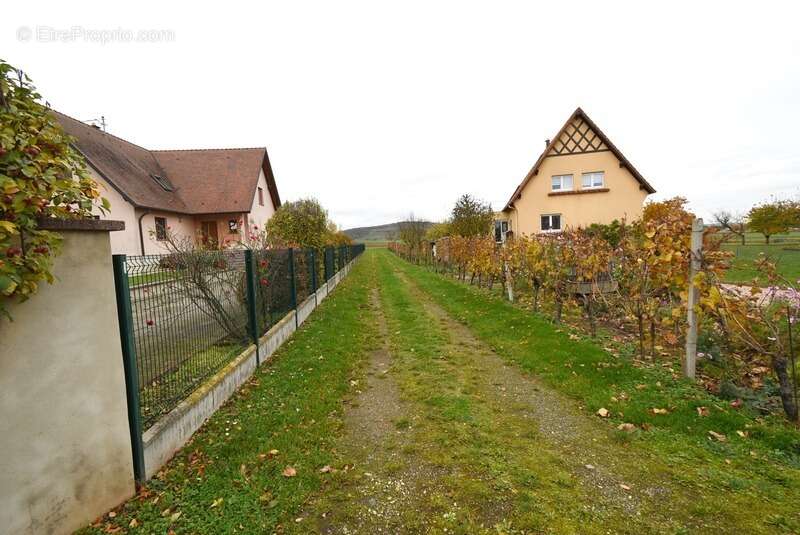 Terrain à MARLENHEIM
