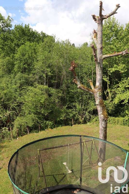 Photo 4 - Maison à URCUIT