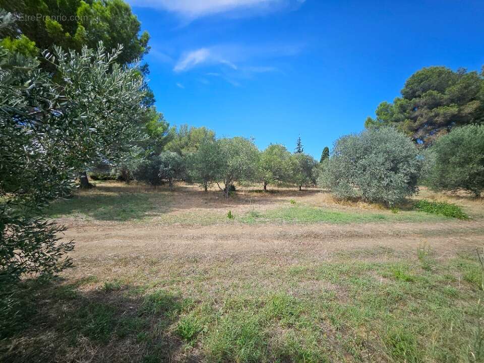Terrain 472 m² à Saint-Chamas  - photo 2