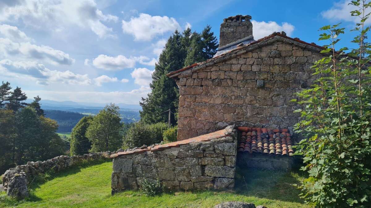 Maison à SAINT-PAL-DE-MONS