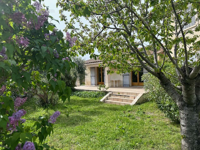 Maison à PERNES-LES-FONTAINES