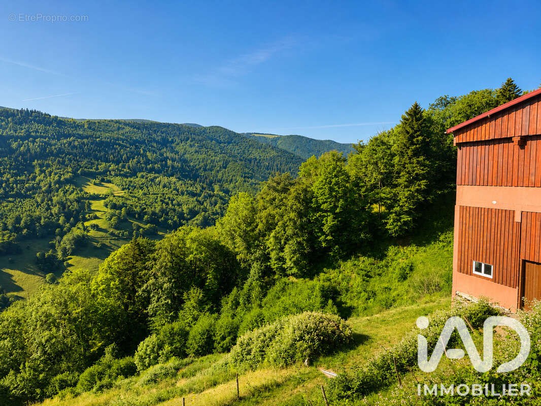 Photo 7 - Maison à SAINTE-MARIE-AUX-MINES