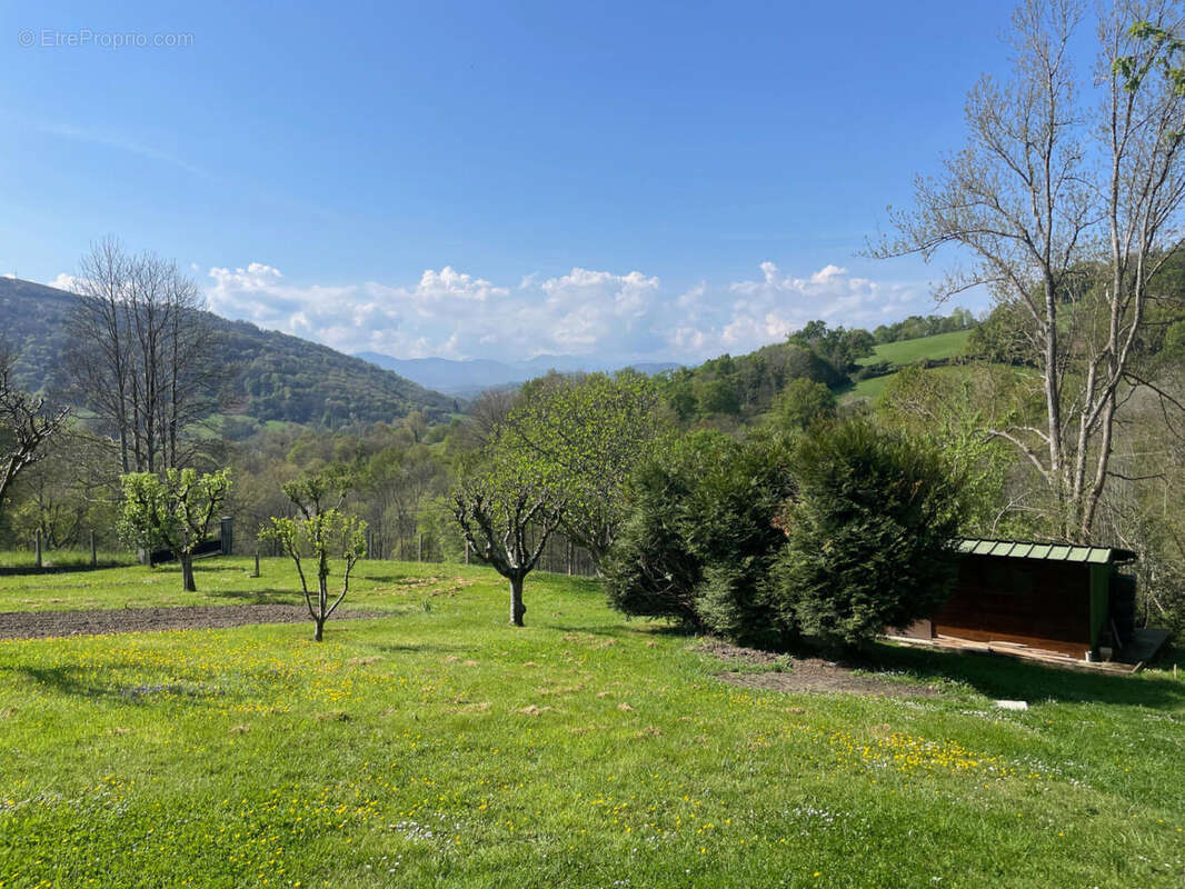 IMG_9132 - Maison à OLORON-SAINTE-MARIE