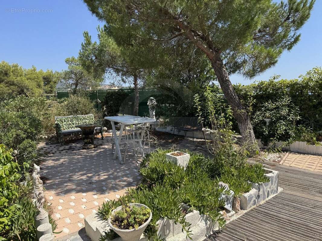 Un petit paradis rare au bord de l'étang de thau - photo 15