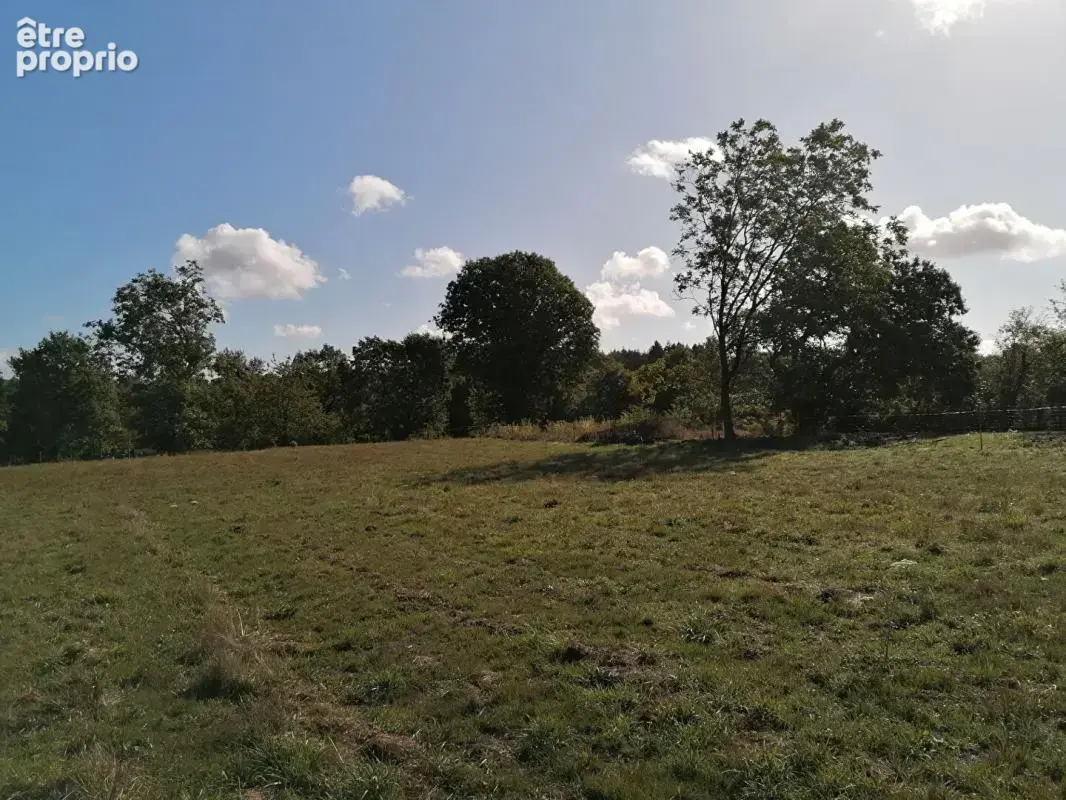 Ploërmel . Terrain exceptionnel de 4 000 m² avec 700 m² constructibles - photo 5
