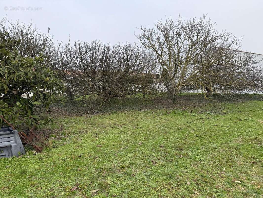 Photo 2 - Terrain à LA JARRIE