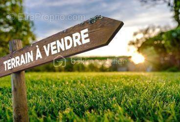 Terrain à VERNOU-LA-CELLE-SUR-SEINE