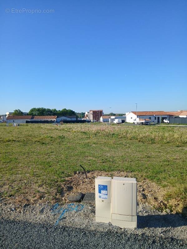 Terrain à LE POIRE-SUR-VIE