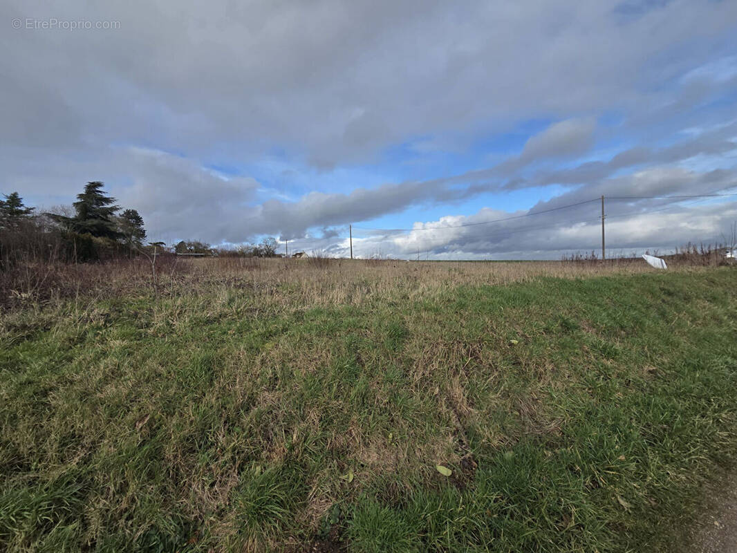 Terrain à TREMBLAY-LES-VILLAGES