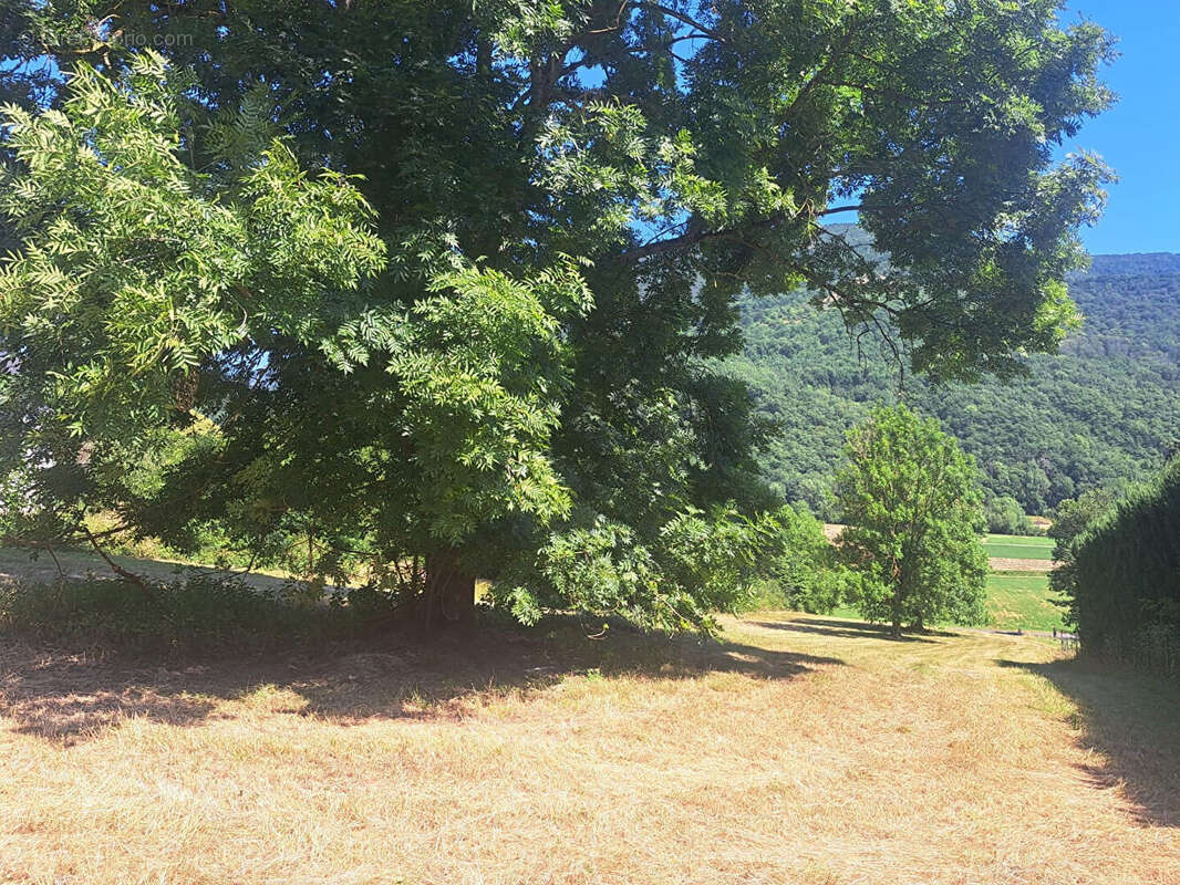 Terrain Castillon 3741 m2 - photo 2