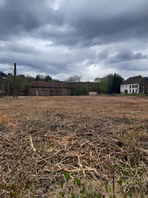 Terrain à LA PETITE-RAON