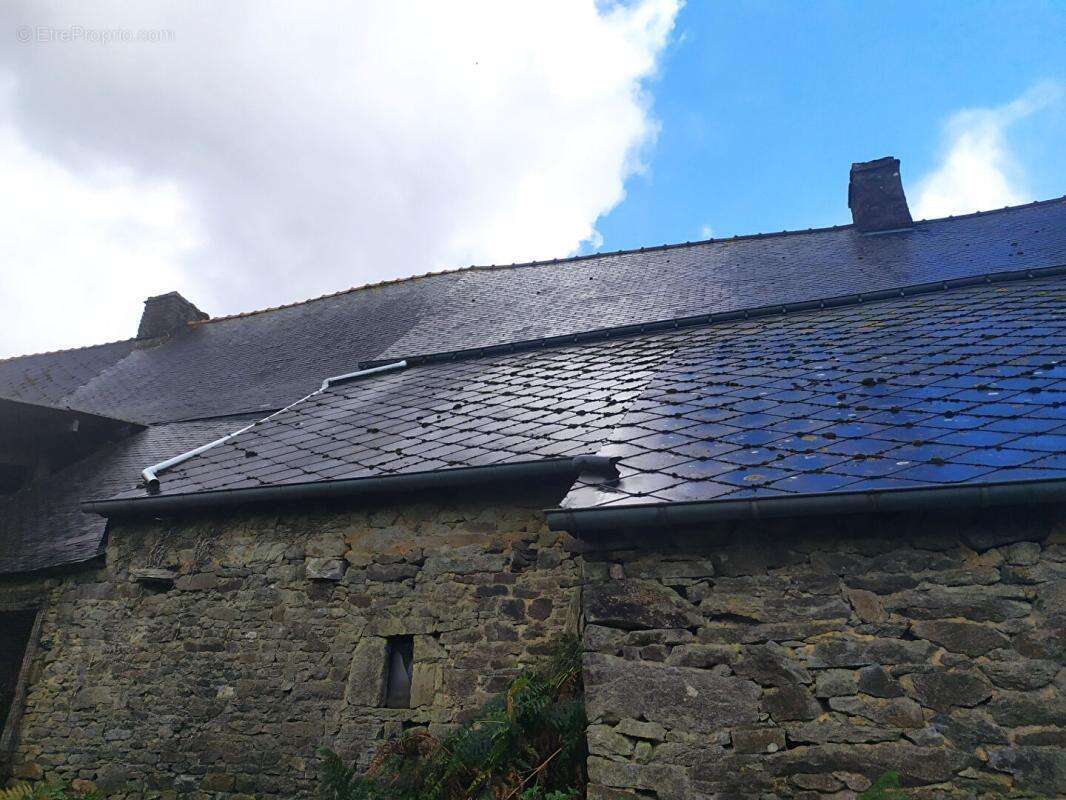 Maison  5 pièce(s) 68 m2 - photo 7