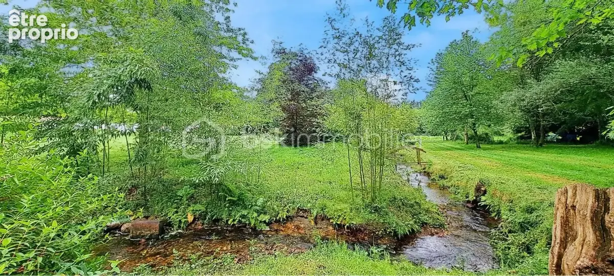 Un véritable havre de paix au cœur de la nature – Maison 136 m² sur 9 500 m² de terrain - photo 14