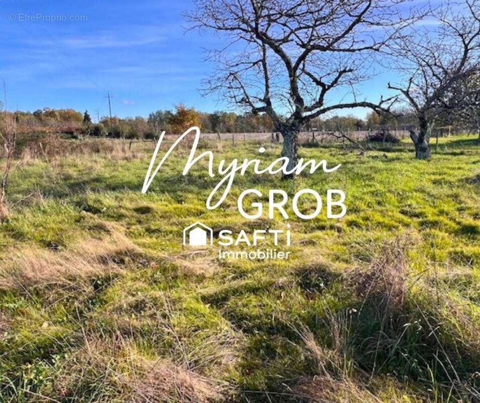 Photo 4 - Terrain à MONTAUBAN